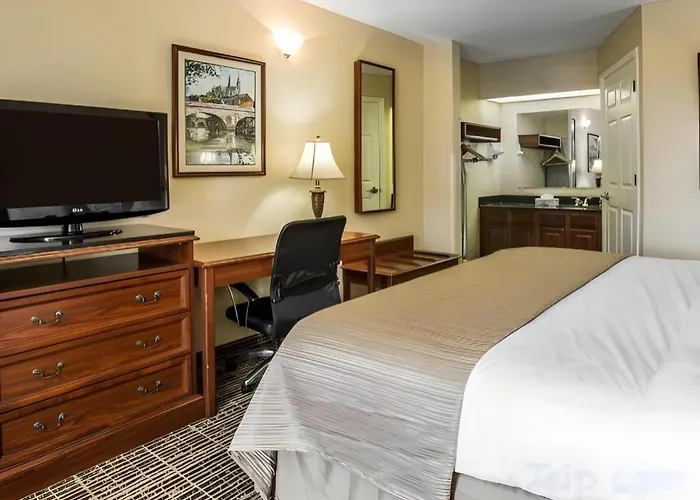 Quality Inn Bessemer I-20 Exit 108